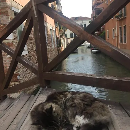 Apartamento Tintoretto Vista Real *