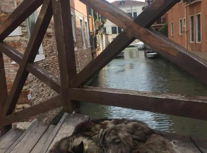 Διαμέρισμα Tintoretto Vista Real *